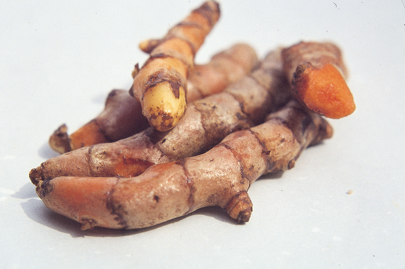 Turmeric