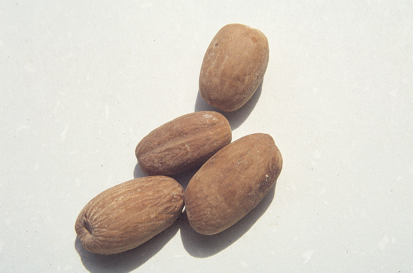 Nutmeg