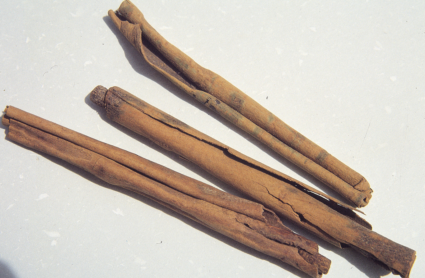 Cinnamon